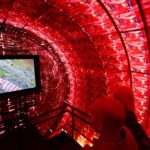 La Noche de los Museos marcó un récord: más de 1.200.000 personas disfrutaron la fiesta